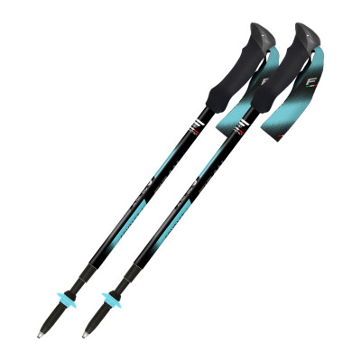 Fizan Compact 4